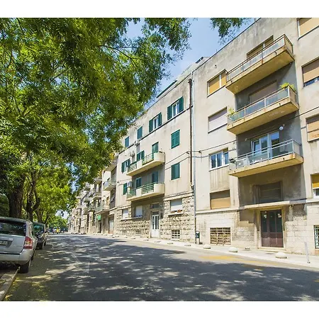 Shades Of Grey * 스플리트